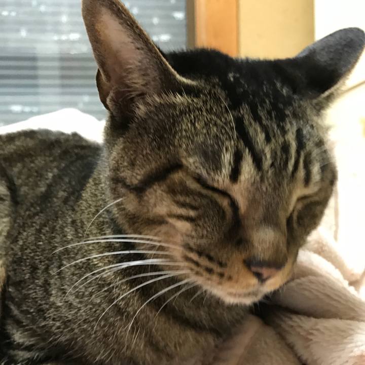 9a7dfde3 ee9b 4c6f b60e 4a48d2f558c0