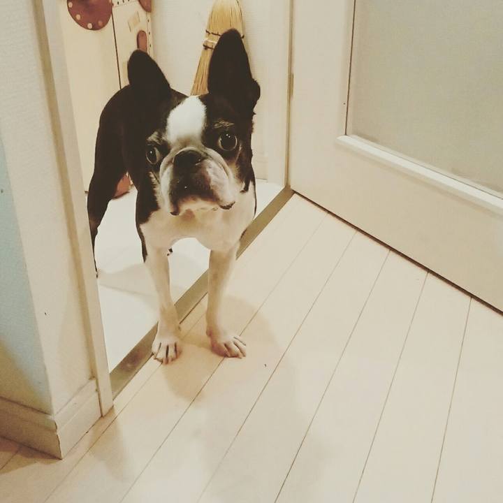 9a7e00a4 0e6d 4ac8 a802 10606a54ab9d