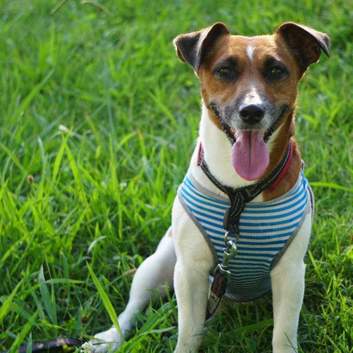 9a7f3e89 d599 4eb0 82c7 59f2bae68872