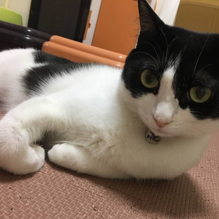 9a7f3f07 e062 4602 99d5 1ec8a5d81a56