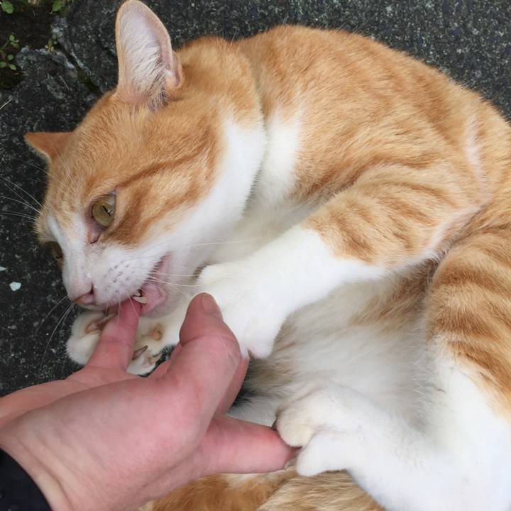 9a7fa224 345e 488d 8f10 df88ecfc33c8