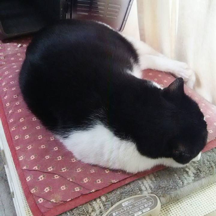 9a7fc286 3010 4c19 b95a bf9899a16ea7