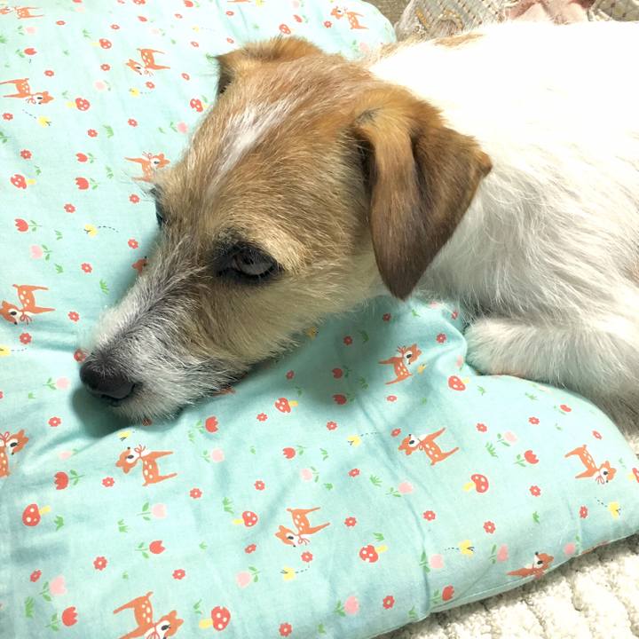 9a809f38 06fe 4bc2 9071 902c61627b04