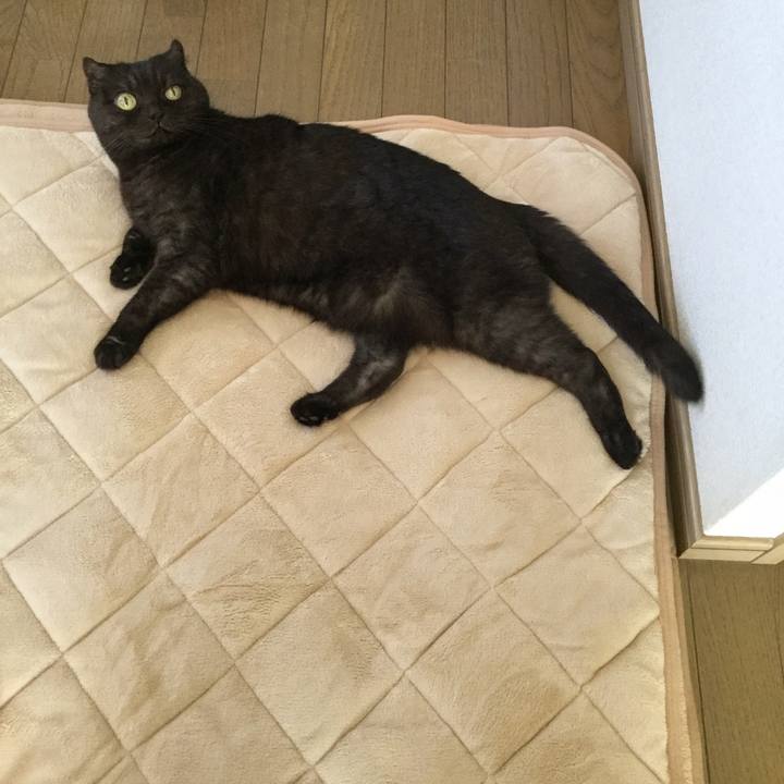 9a8154c2 67e1 4f1d 869d 1797918c2936