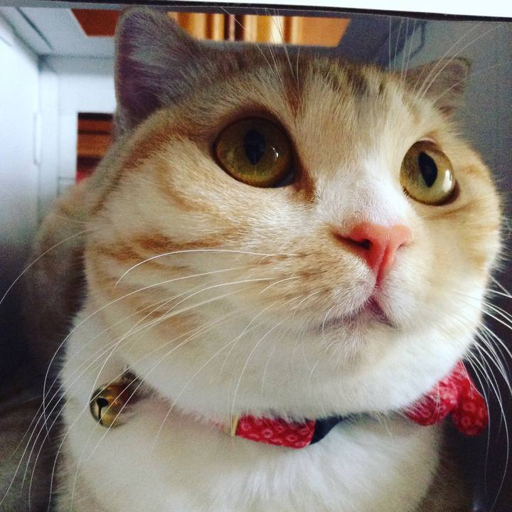 9a81cba1 b0d1 4da0 a085 2360fbca7b9b