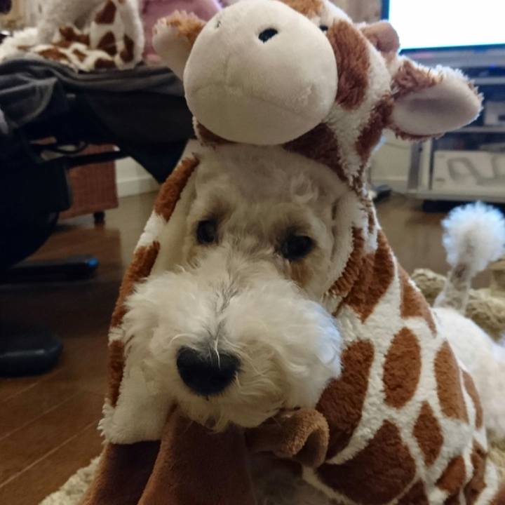 9a81eb32 256b 4c73 b840 25e8c876d964