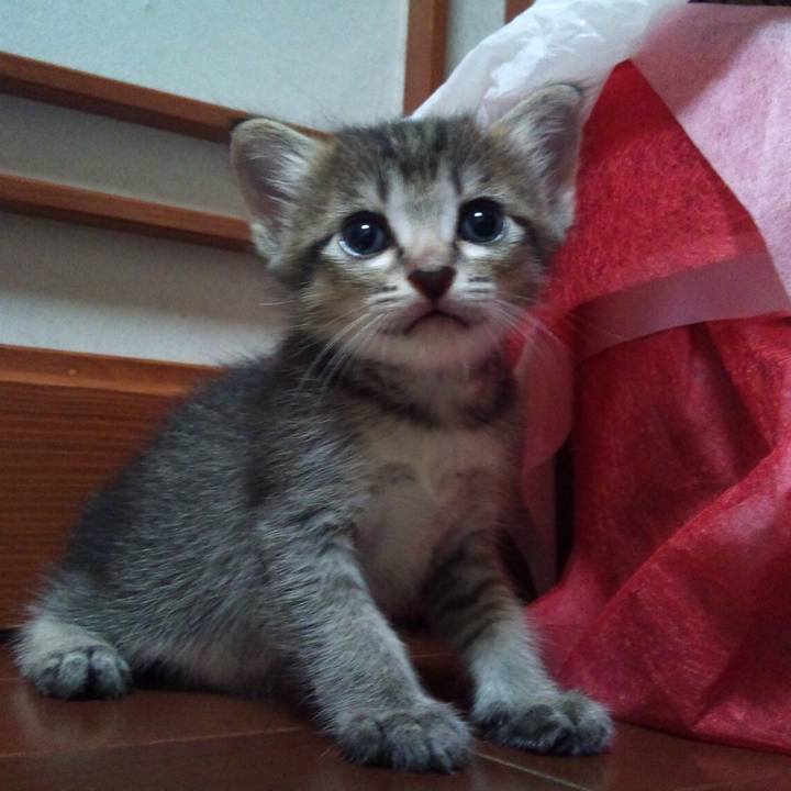 9a82a2f7 49b0 415f b8dc 6745508a7dae