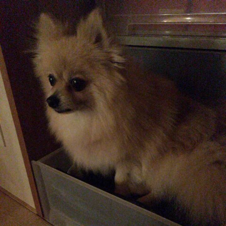 9a82ebc9 38d8 42cc 8451 68583946b678