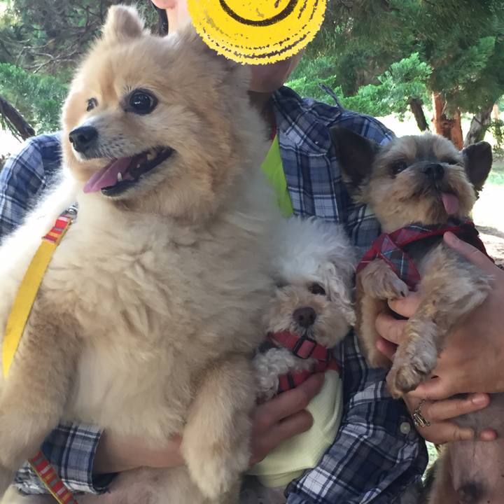 9a83fd99 4c3e 41b0 8300 5a5555b91417