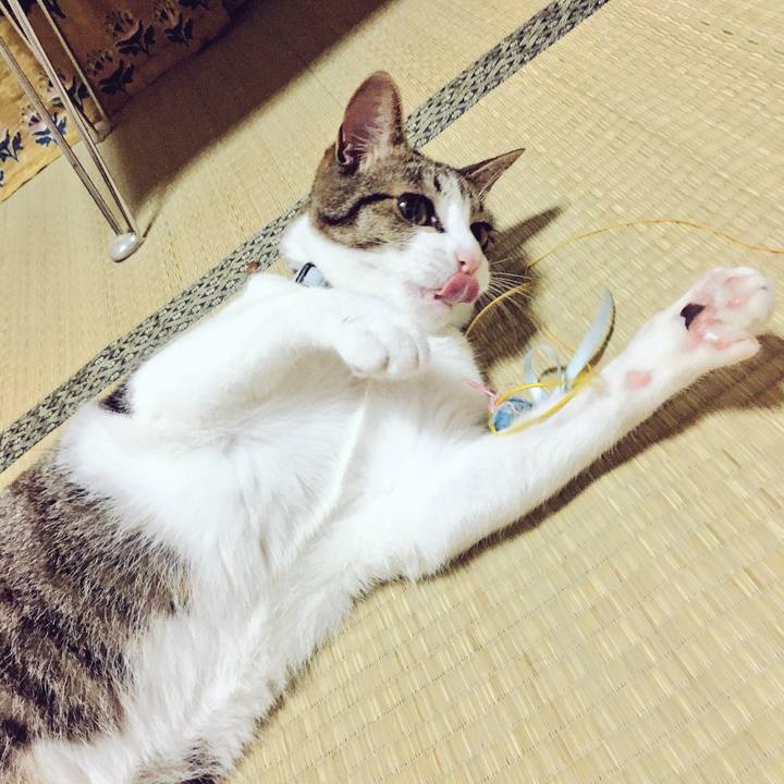 9a8409b2 13be 43aa aa22 cc45ae1ea359