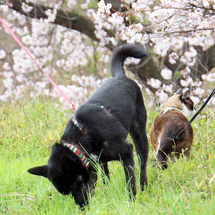 9a847164 d9a5 4b9b b379 5d4b7589d212