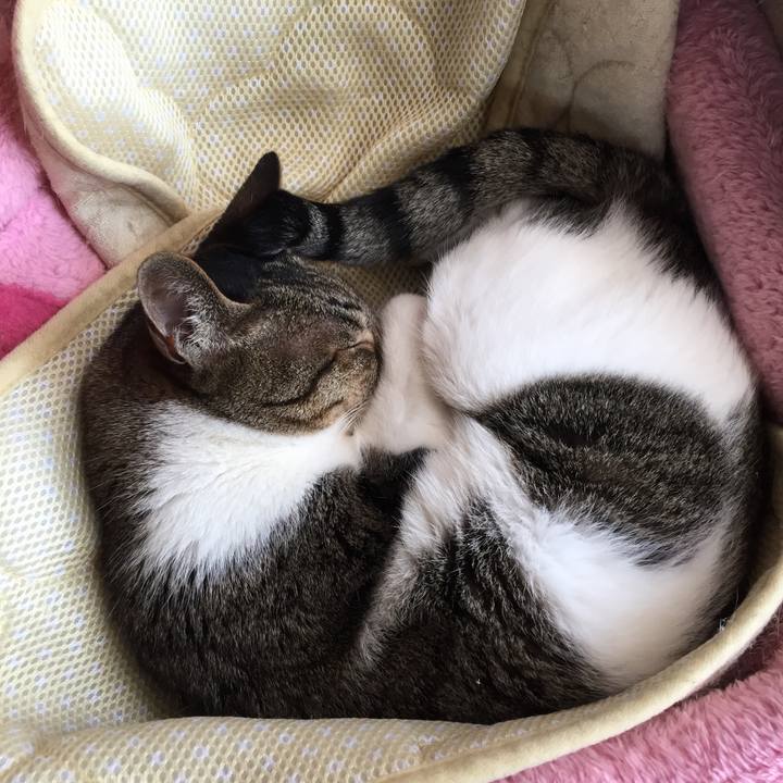 9a849074 0901 45f4 be4b dddae2a205bc