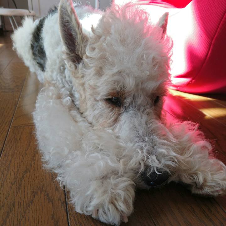 9a84a6ff 5efc 41e1 80f0 ae461b38e522