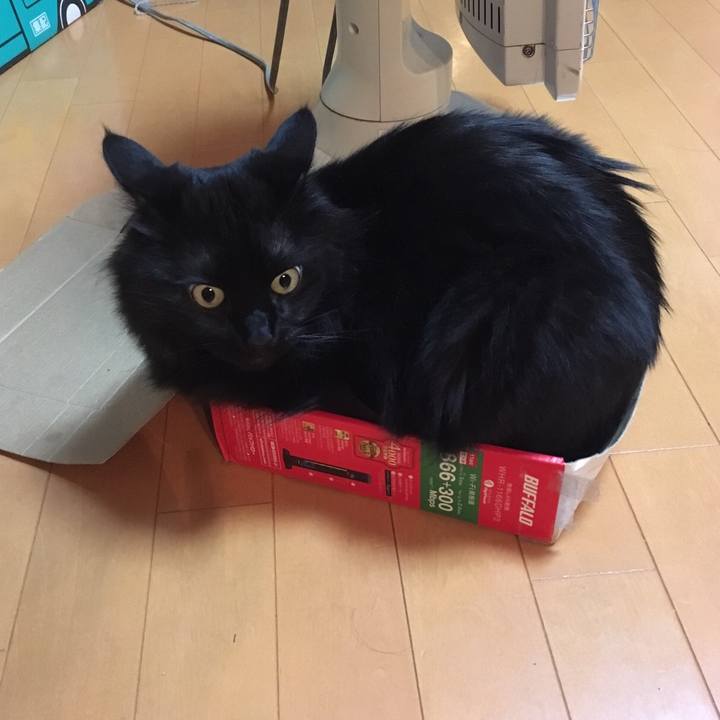 9a84a714 17a1 4b42 9a0d f342d1672d77