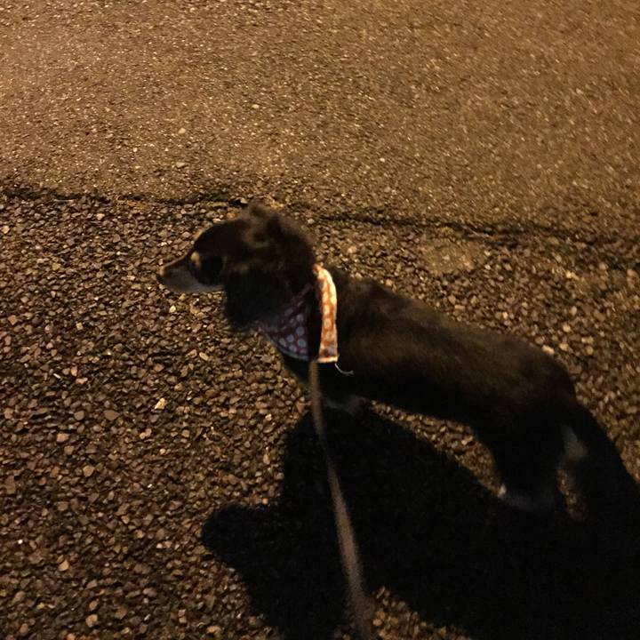 9a84ccee e0f0 44ab ada5 31f0bf6f7161