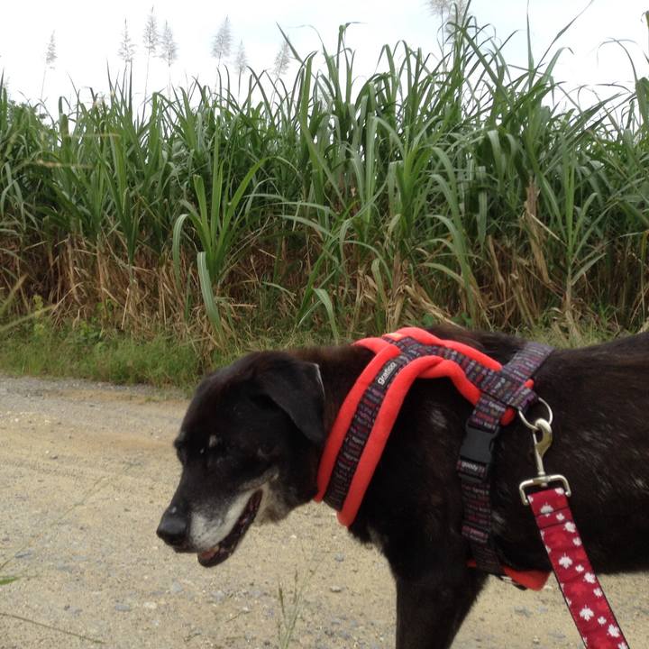 9a85a385 72b0 4539 bf71 74290d56f2f9