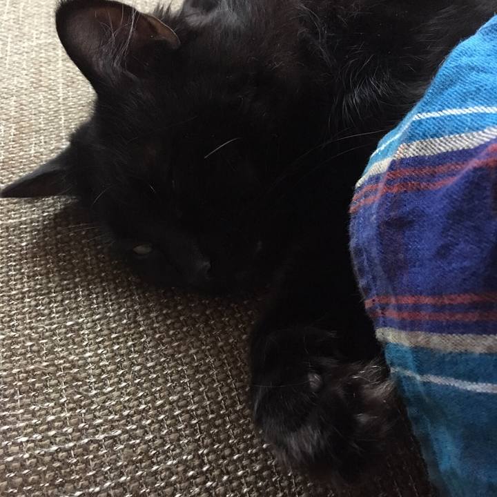 9a85b3ce 3ee1 4932 8ff7 5ed3ecede2c2