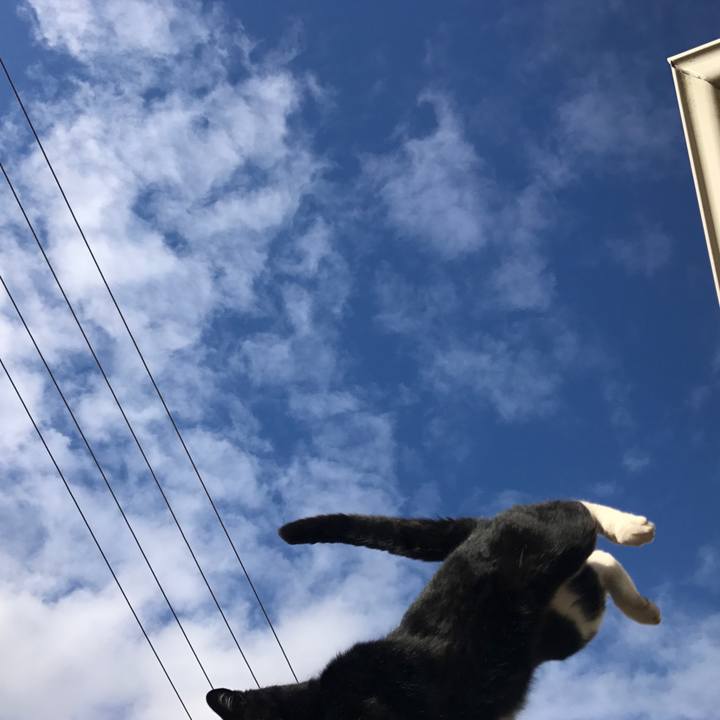 9a87443a dfee 4e3a a0ba 1b0c343c86a4