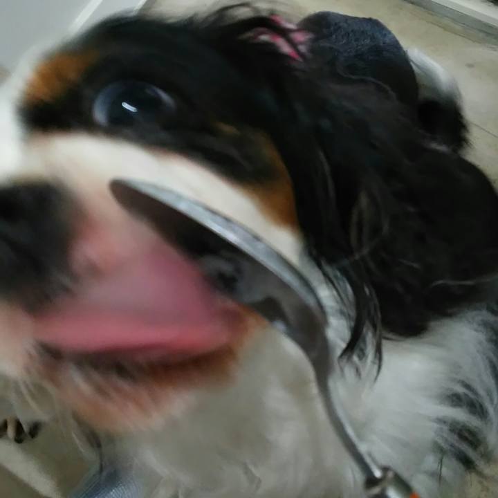 9a885b21 a08f 490a bb0f 6269120fc53d