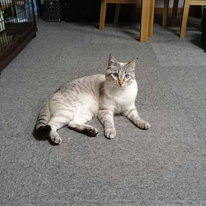 9a8883e1 e747 477a 8c9f 7dc3a9f14fa4