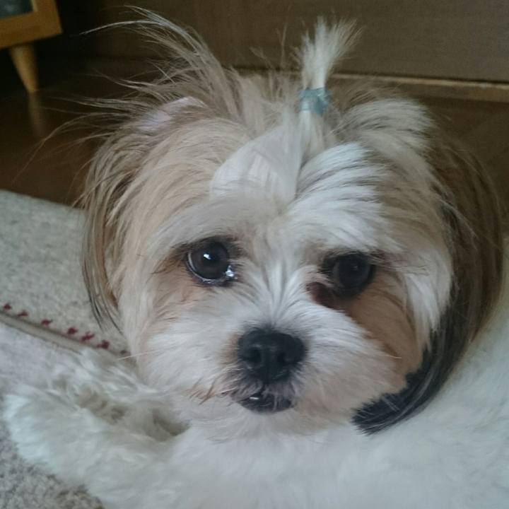 9a88970f 67d8 4529 9f49 1ac6e3810da2