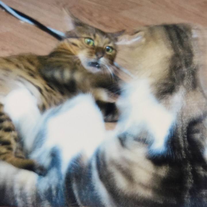 9a88c8d8 8919 4e87 b569 ab6a9b41f63e