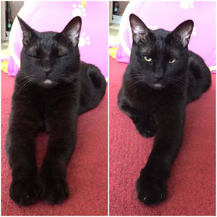 9a89e644 21ac 4171 b674 15ca39d67c5d