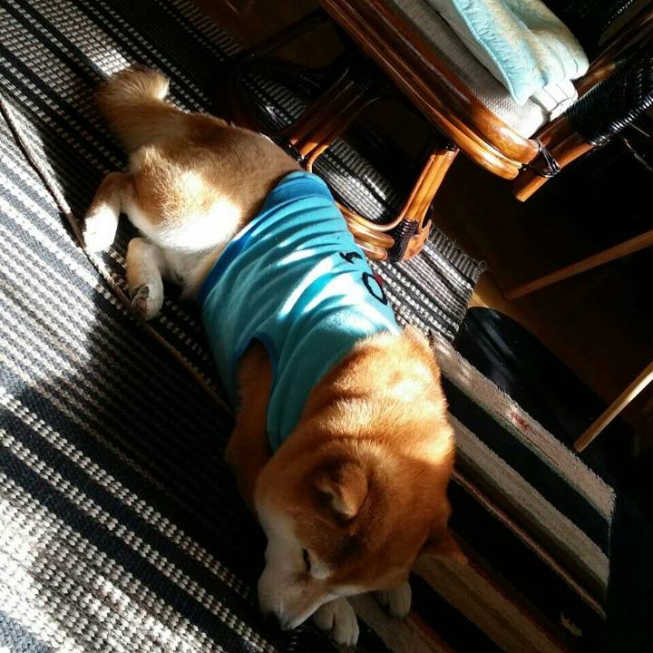 9a8a40ca 0103 46d9 b85a 8997570746d9