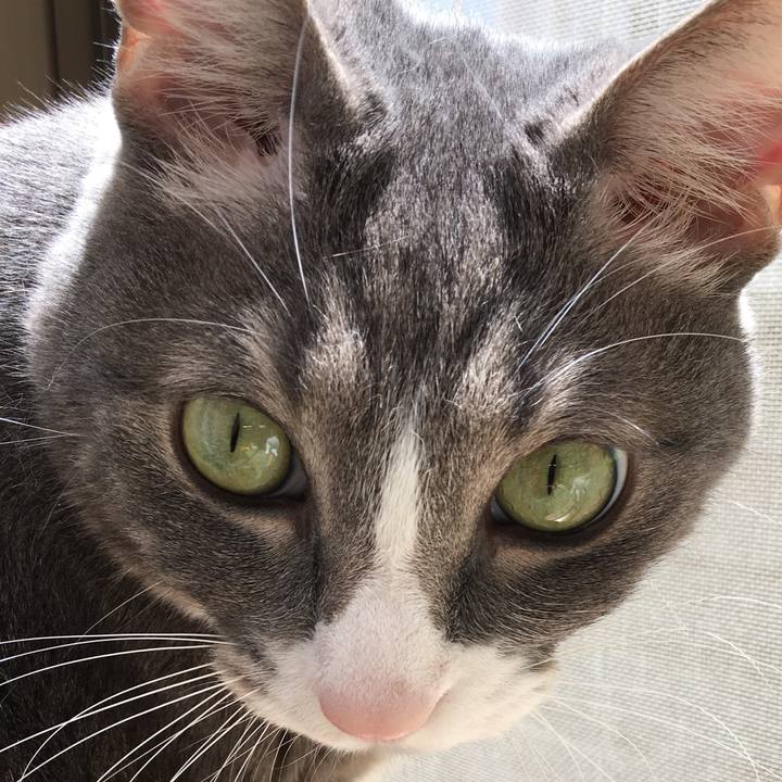 9a8a514e 8343 4b09 b52d 8cc9c34ef296