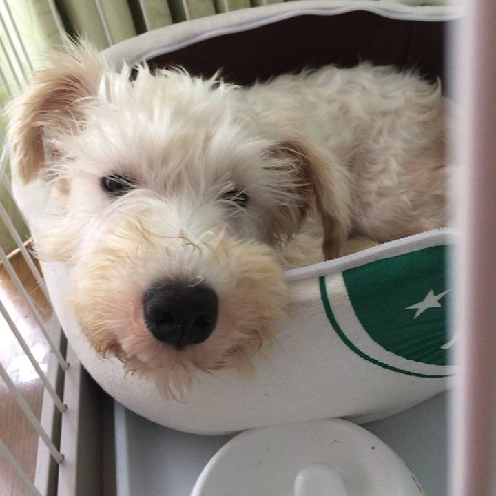 9a8a9cde b235 403b a059 5b23d6e014f1