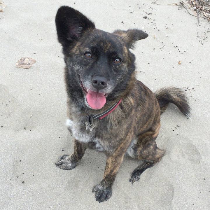 9a8b9302 b51f 4e11 9627 3fc6031a7c3f