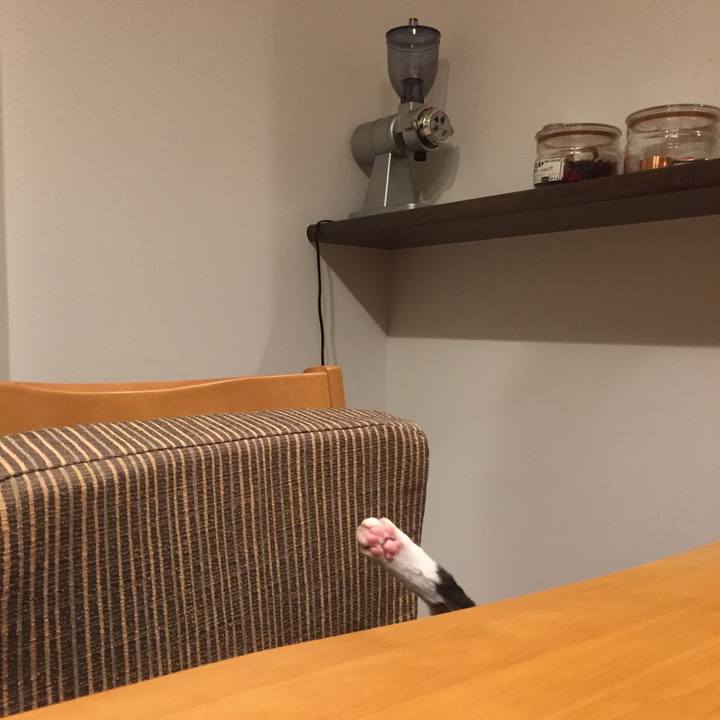 9a8c23f9 52b4 4a13 bec1 ec4ec8d0350a