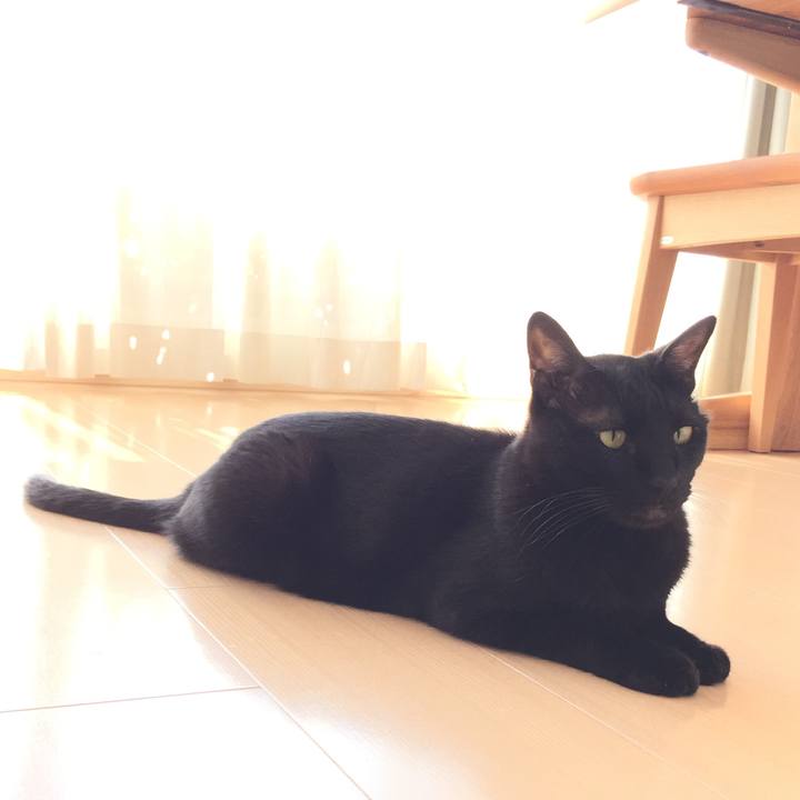 9a8c3951 93e5 452f b27e c4ff0f1e5e36