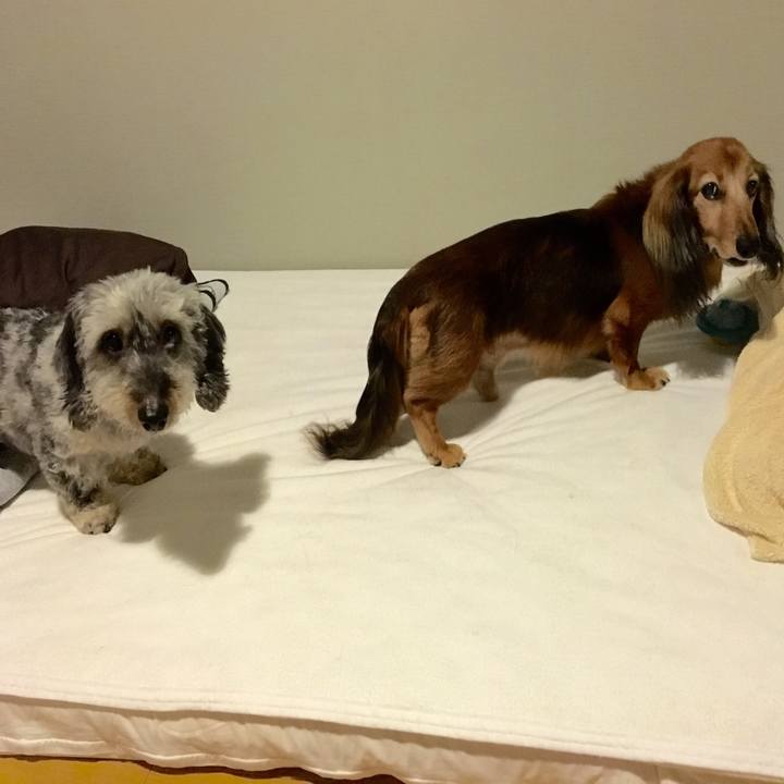 9a8cbef1 3097 4d51 8abc eba9a1af0c89