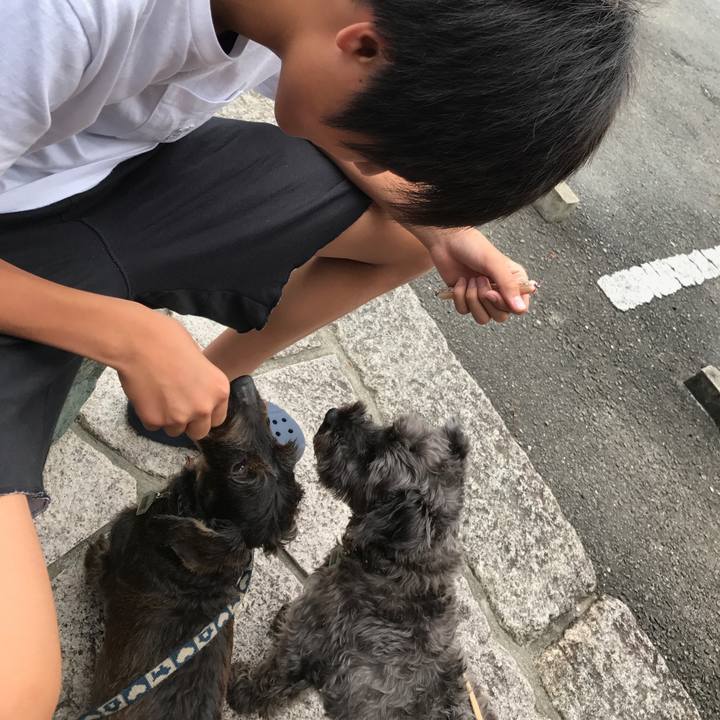 9a8d1928 ca13 45fe 9057 b9668e3509aa