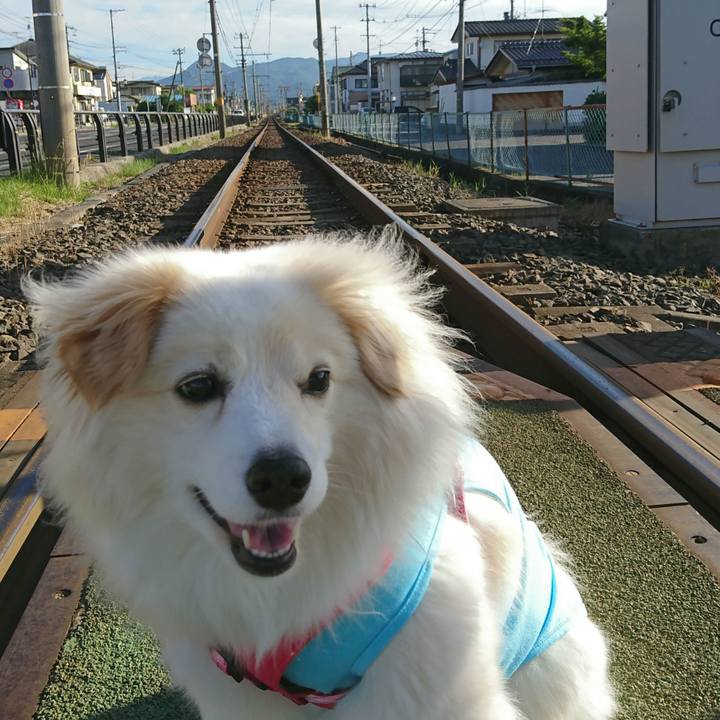 9a8daeb7 d19a 4d48 b448 629f4062317e