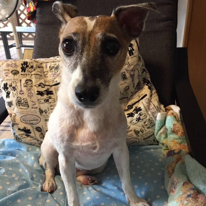 9a8de3e7 dad4 4177 88eb 62d00c72b88c