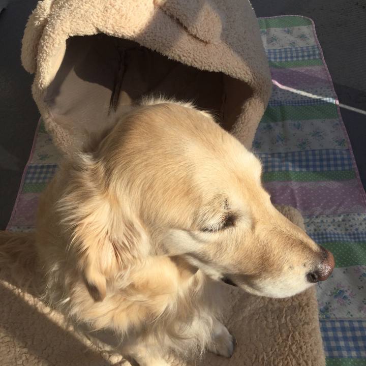 9a8e20a0 9d3c 42c9 bae2 6f2f219826d5