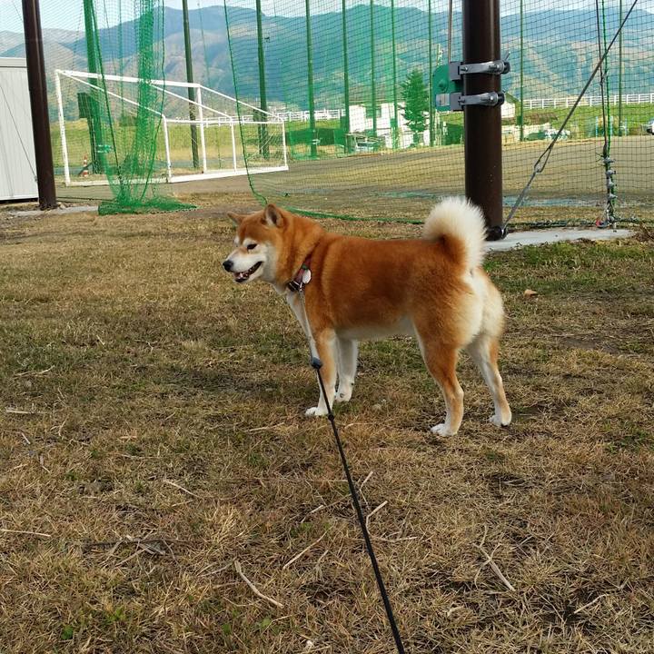 9a8e2b3c 371d 4fbd 8411 255d470cdd50