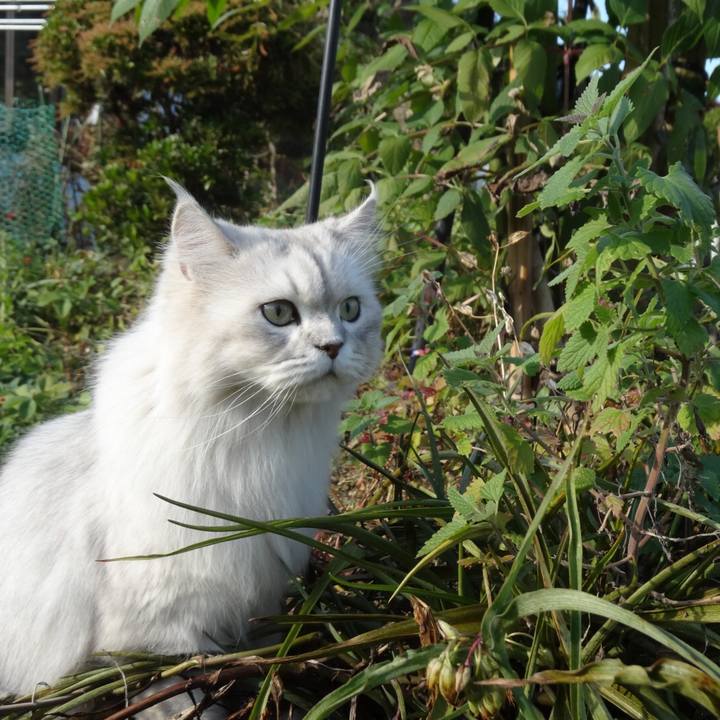 9a8ec246 011a 430d 8794 2f46631f698d