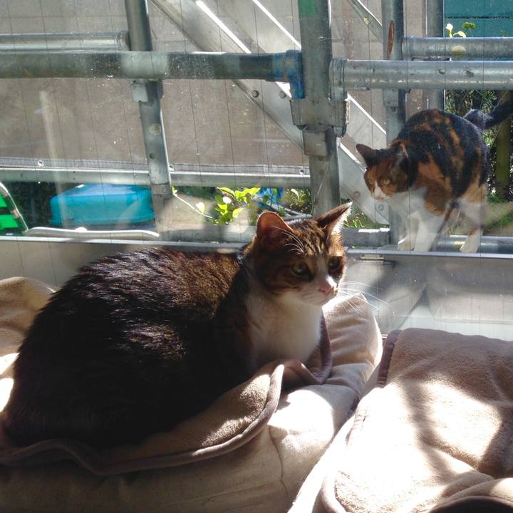 9a8ee9fa a622 4f3f a214 02f1a97e7a14