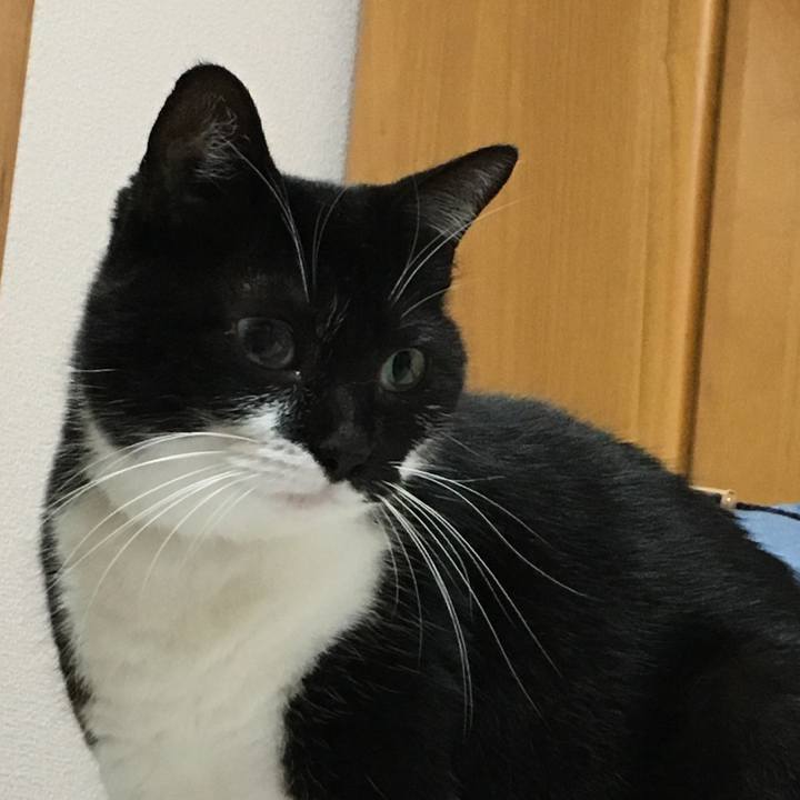 9a8f1bf1 018e 47b0 9817 861a72064542