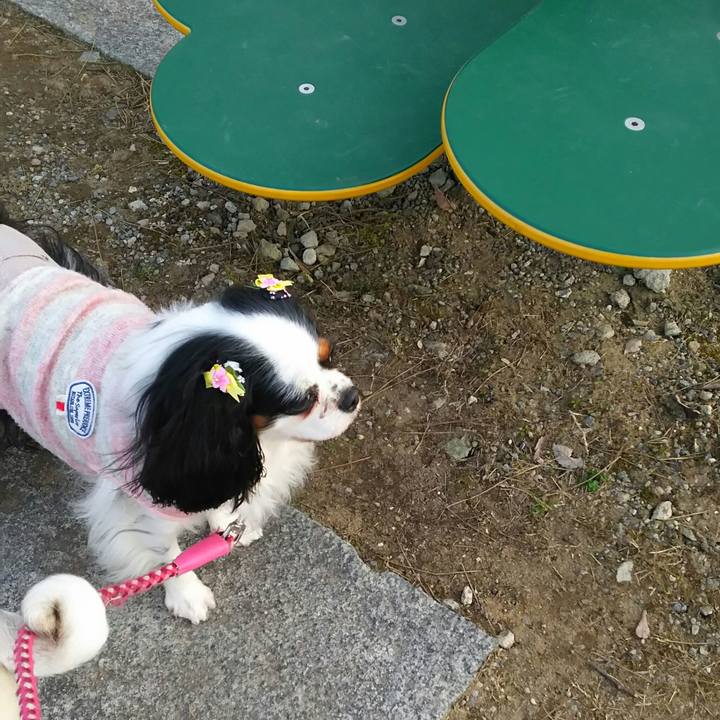 9a9055a3 7851 4a3e bc22 19daa80b38d1