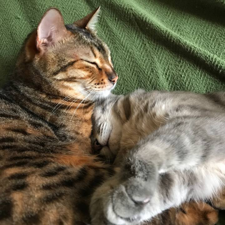 9a90c568 3565 4a3f 82f2 b705108e0f70