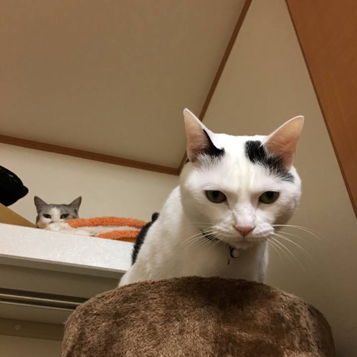 9a911899 0717 4508 90dc e52a7d4039e1