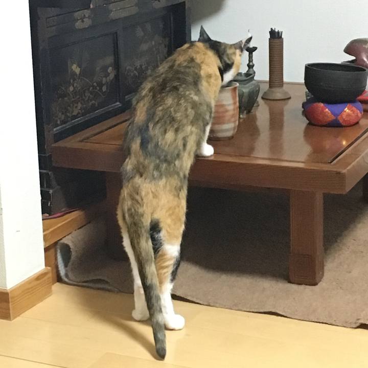 9a918fab 6870 40fb b611 361124ae7c61