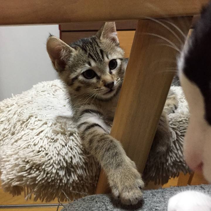 9a91d6b1 49b5 47f4 bec0 91a39304006a