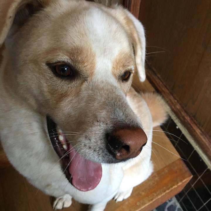 9a91db81 4a62 4a74 95c8 3c97dcb83668