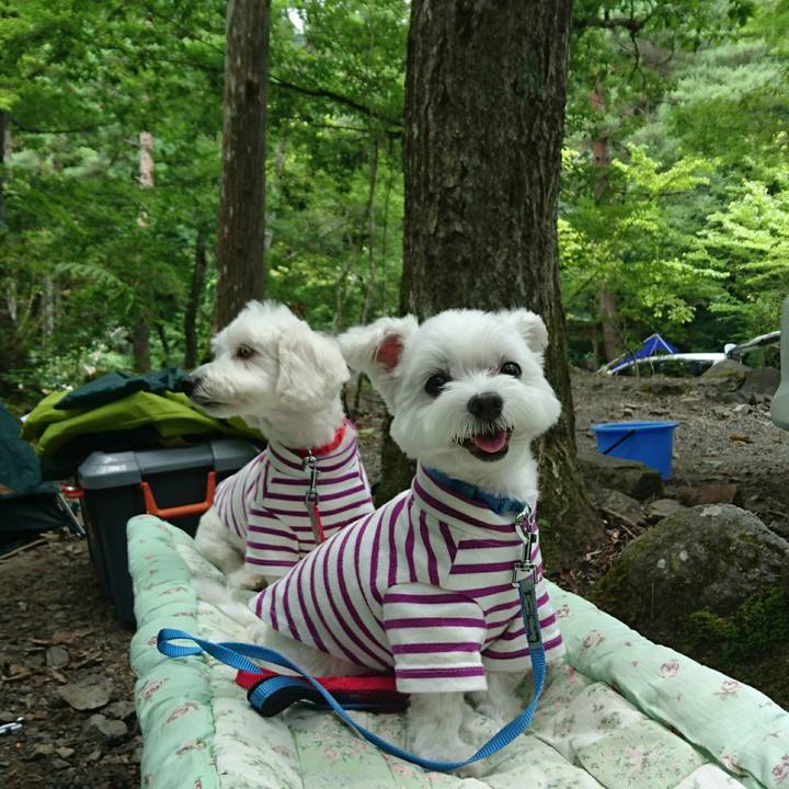 9a91fd9d 42c4 47a2 85d2 20d6bb8d73ef