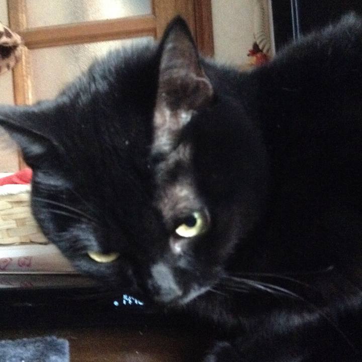 9a92594b 6122 49c6 af0b 2ba247f1bd3e